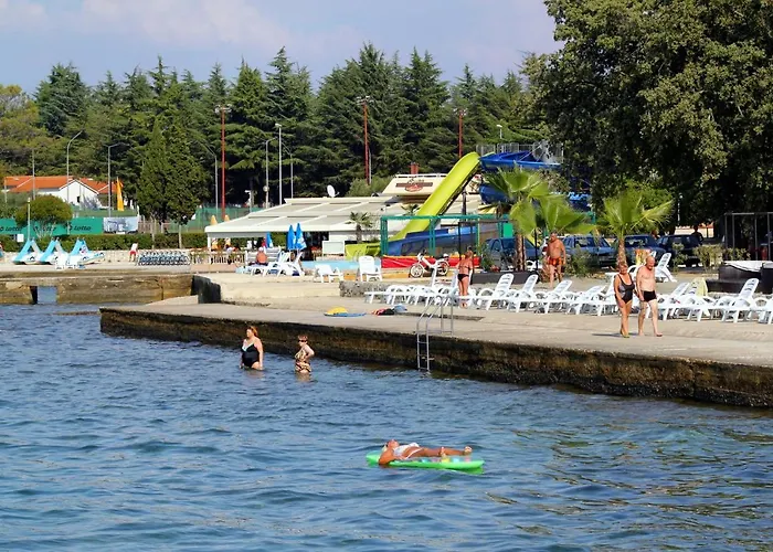 Family-friendly With Swimming Pool Nova Vas, - 14167 Lejlighed