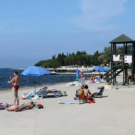 Apartman Family Friendly With A Swimming Pool Nova Vas, - 14167